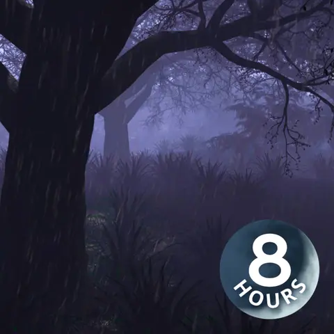Rain & Thunder Sounds in Forest 8 Hours | Sleep, Study, Relax with Rainstorm White Noise