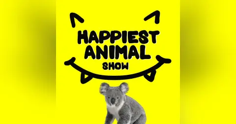 Sleepy Animals (with comedian David Gborie)