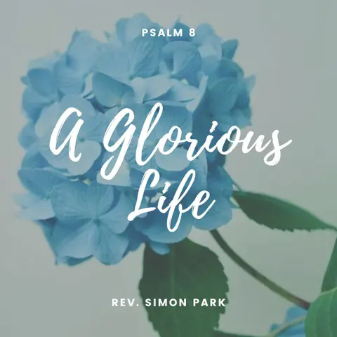 A Glorious Life
