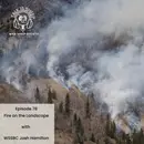 EP 78: Fire on the Landscape with Josh Hamilton