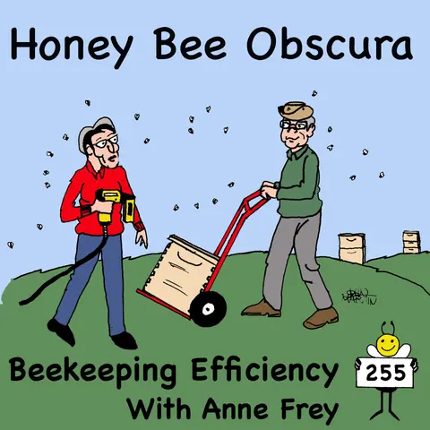 Beekeeping Efficiency with Anne Frey (255)