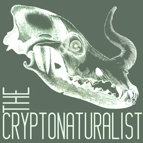 Episode 67: Strange Animals