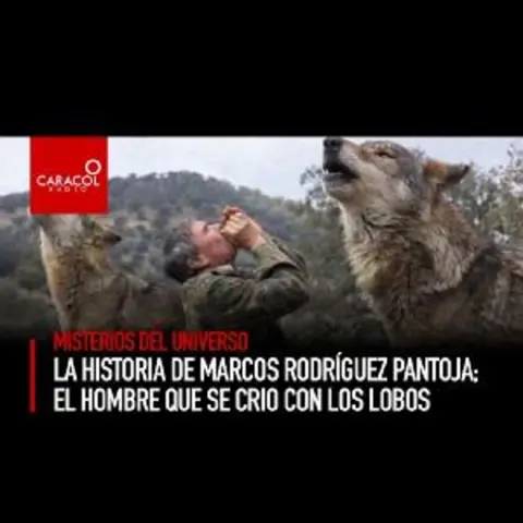 El enigmático poder de los animales
