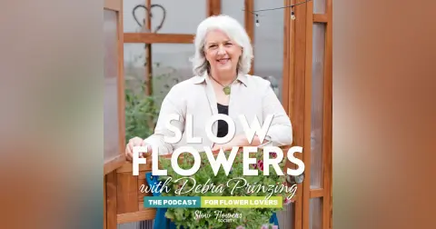 Episode 786: Chelsea Willis, farmer-florist and owner of Sweet Delilah Farm