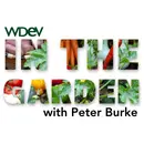 Gardening Beyond the Garden Season