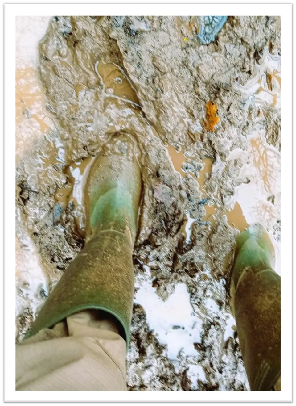 muddy (comp).jpg Muddy towpath