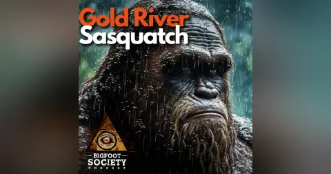 Searching for Sasquatch on Vancouver Island: A Captivating Chat with Keith from Gold River, British Columbia