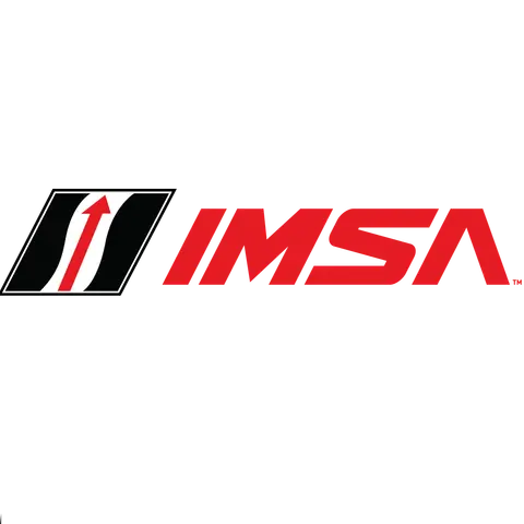 Michelin Post Race Tech 2026: Petit Le Mans