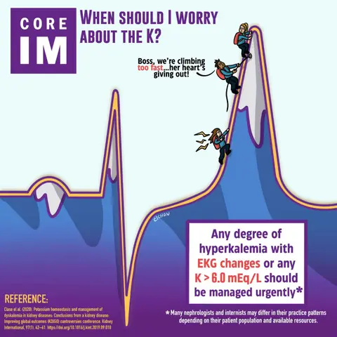 #93 Hyperkalemia in CKD: Mind the Gap Segment