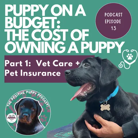 Episode 13 (Part 1) Puppy on a Budget: The Cost of Owning a Puppy