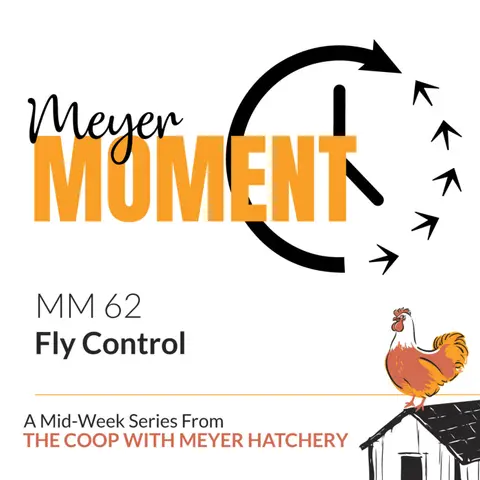 Meyer Moment: Fly Control