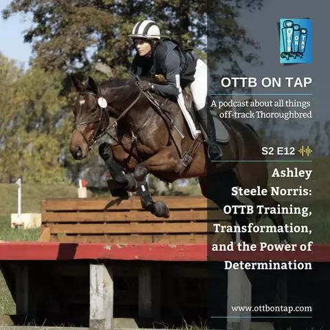 S2 E12: Ashley Steele Norris: OTTB Training, Transformation, and the Power of Determination