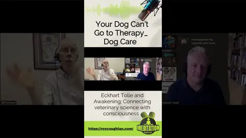 Eckhart Tolle and Awakening Connecting veterinary science with consciousness