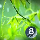 Rain Sounds for Sleep, Relaxation or Focus 8 hours