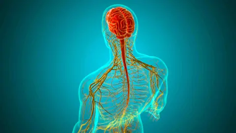 Common Neurosurgical Infections