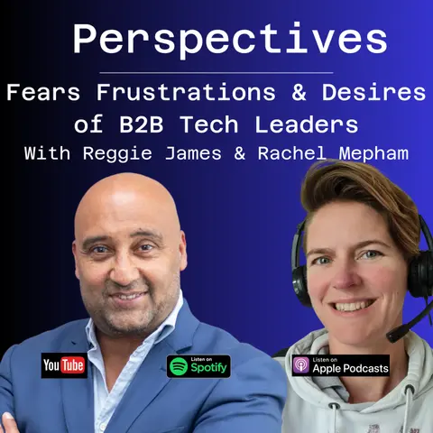 Fears, Frustrations and Desires of B2B Tech Leaders