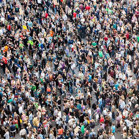 Flocking together: the physics of sheep herding and pedestrian flows