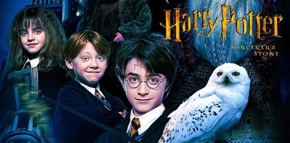 Harry Potter and the Sorcerer's Stone book Harry Potter and the Sorcerer's Stone book
