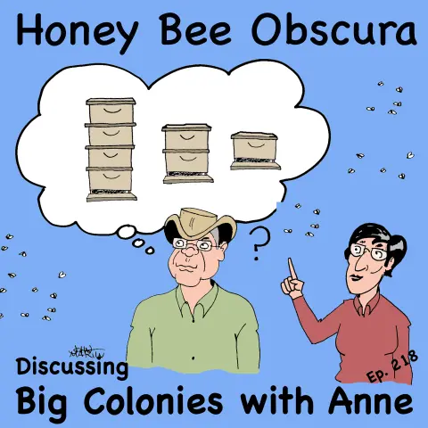Discussing Big Colonies with Anne (218)