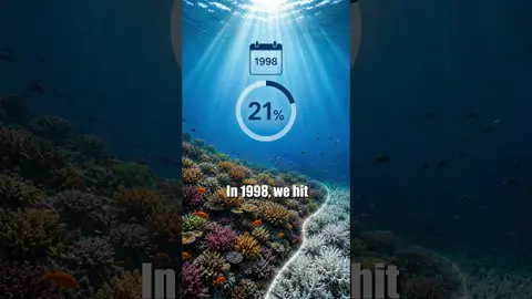 Global coral bleaching has grown from 21% of reefs affected in 1998 to 84% in 2023–2025.  🎧 Listen