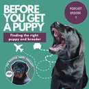 Episode 1: Before You Get A Puppy