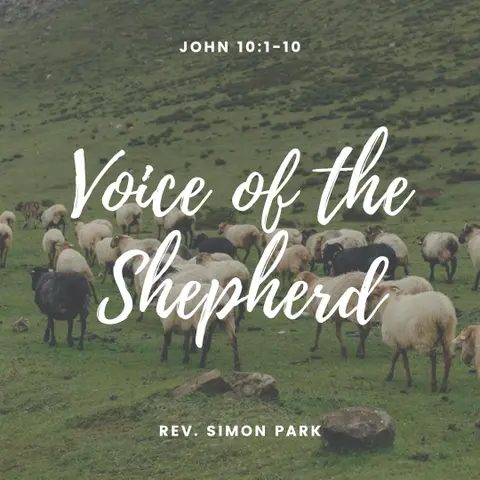 Voice of the Shepherd