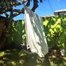 Telas al viento