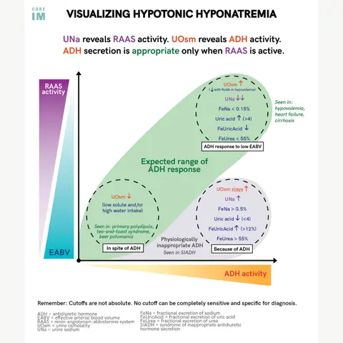 #82 Hyponatremia Diagnostics: 5 Pearls Segment