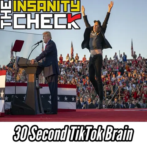 30 Second TikTok Brain - Insanity Check