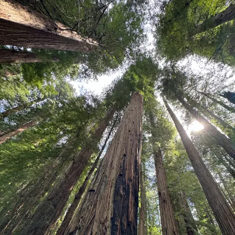 Episode 148: National Parks