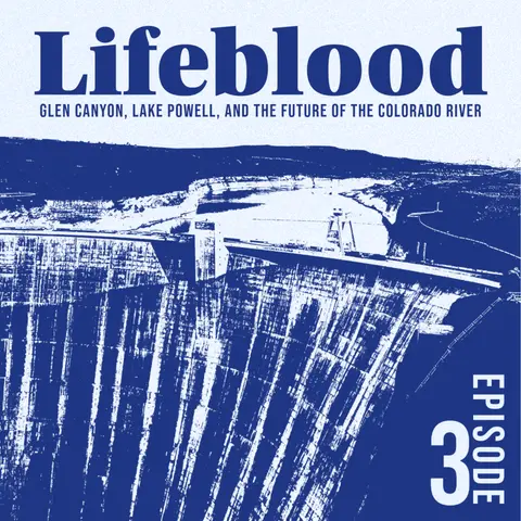Glen Canyon: A Cathedral Drowned