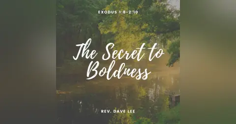 The Secret to Boldness
