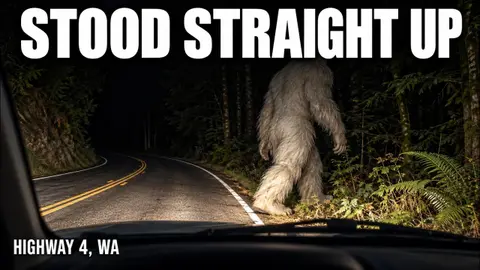 He Thought It Was a White Cow Until It Stood Up | Bigfoot Society 1224 |
