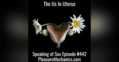The Us In Uterus