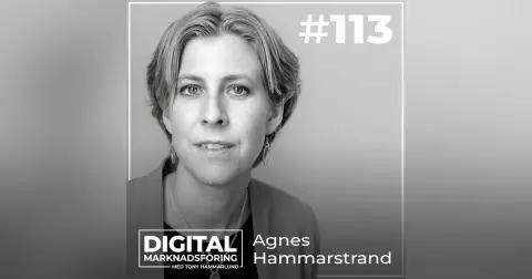 IMY-granskning, Data Privacy Framework och cookies – Agnes Hammarstrand #113