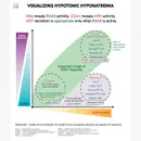 #82 Hyponatremia Diagnostics: 5 Pearls Segment