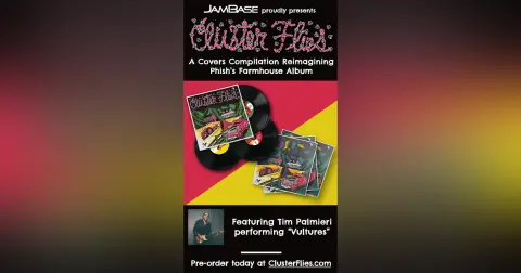 Cluster Flies: Tim Palmieri & Friends - Vultures