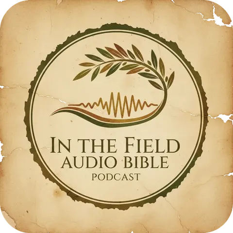 In the Field Audio Bible Logo