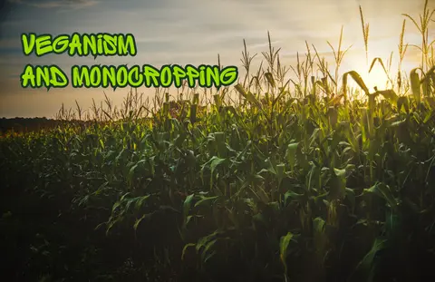 Veganism and Monocropping