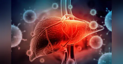 Liver Series – Liver Cancer (Malignant Liver Lesions)