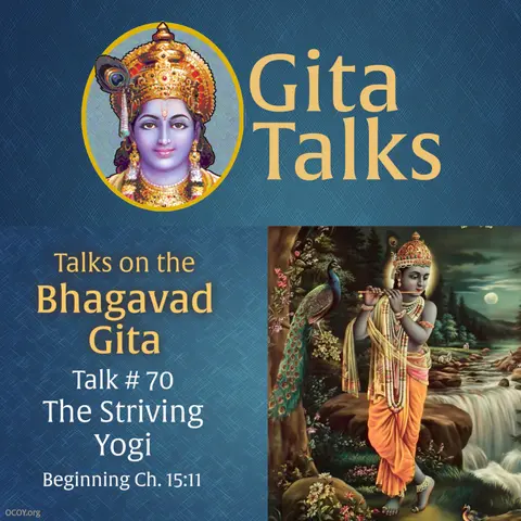 Gita Talk 70–The Striving Yogi