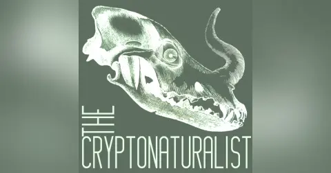 Episode 64: Northern Pondhawk