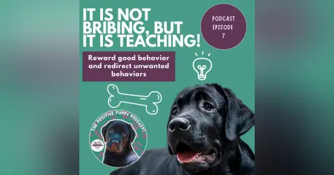 Episode 7: It's Not Bribing, It's Teaching!