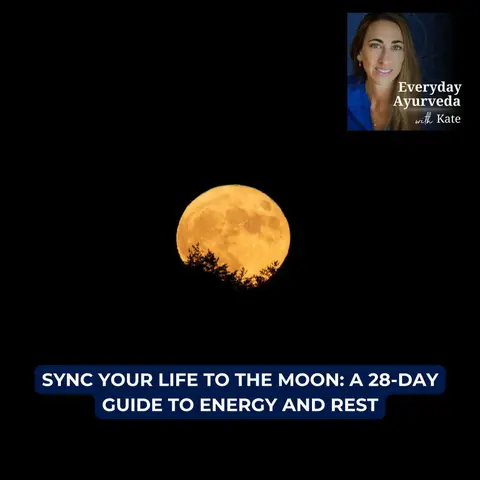 101. Sync Your Life to the Moon: A 28-Day Guide to Energy and Rest [VIDEO]