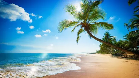 Ocean Waves White Noise for Sleep, Studying or Focus | 10 Hours