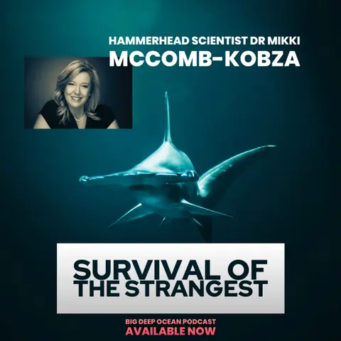 Survival of the Strangest: Mikki McComb-Kobza On Her Passion For The Undersea World of Hammerheads