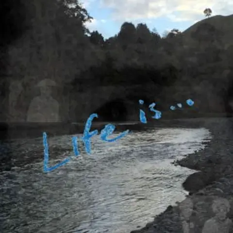 Life Is