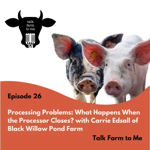 Processing Problems: What Happens When the Processor Closes? -- with Carrie Edsall of Black Willow Pond Farm