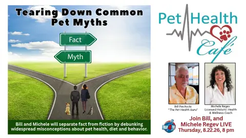 Paws & Preconceptions: Tearing Down Common Pet Myths
