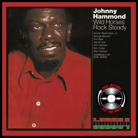 S9E487 - Johnny Hammond 'Wild Horses Rock Steady' with Wesley Stace